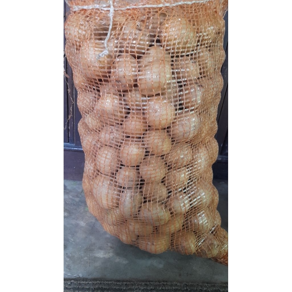 

kentang dieng abc ukuran besar 1kg