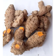 

Bonggol Kunyit 1 Ons | JBP_Fresh