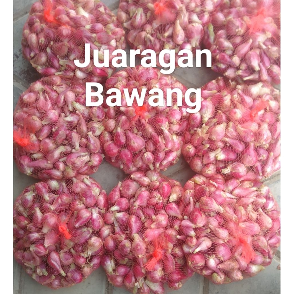 

Bawang Merah Brebes 1kg /Promo Super murah