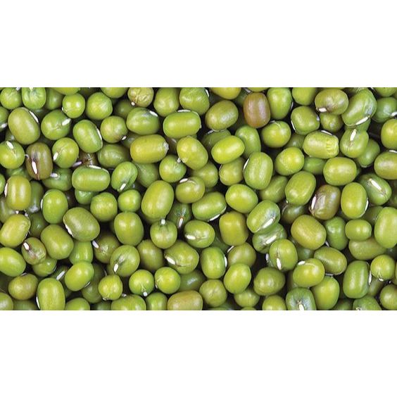 

Kacang hijau 250gram