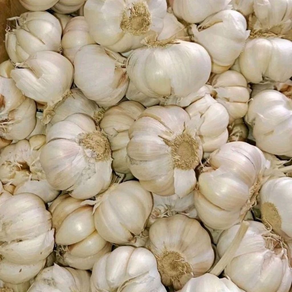 

Bawang Putih Kering 1 kg