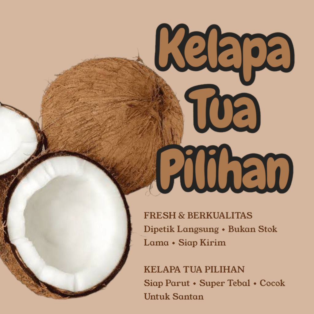 

Kelapa Tua Kupas – Siap Parut & Olah Santan / VCO