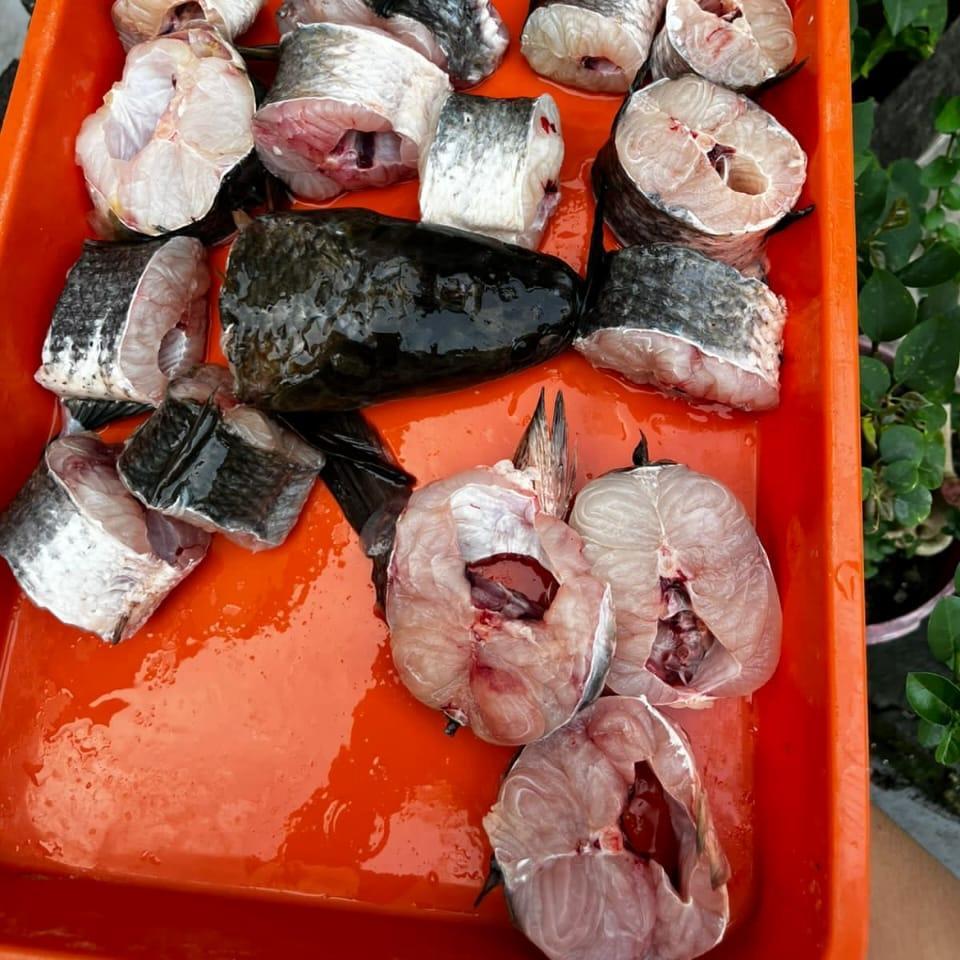 

Ikan Gabus Air Tawar Potong Bersih 1Kg Fresh Frozen