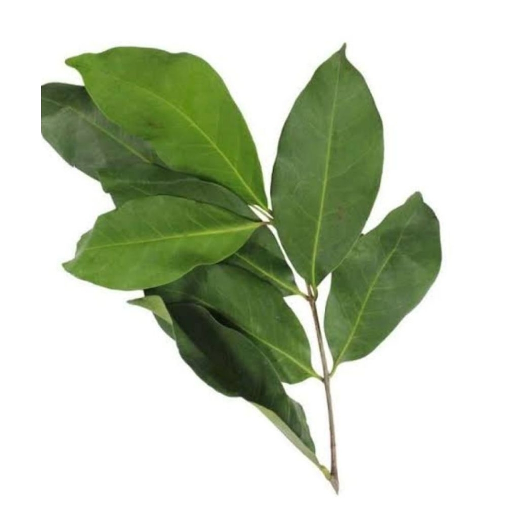 

daun jeruk nipis segar 1 kg