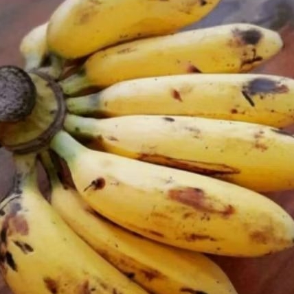 

pisang uli 1 sisir
