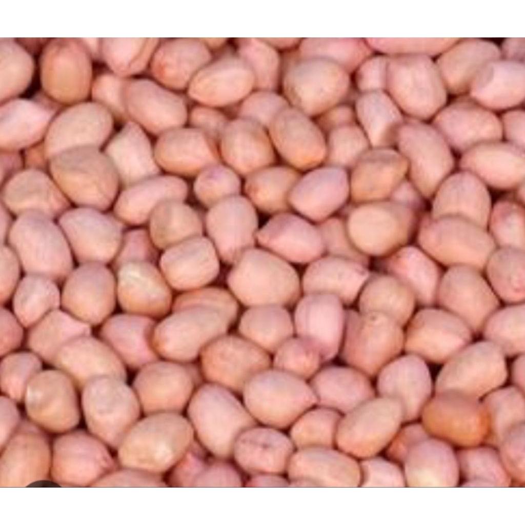 

kacang mentah termurah brg berkualitas rasa enak