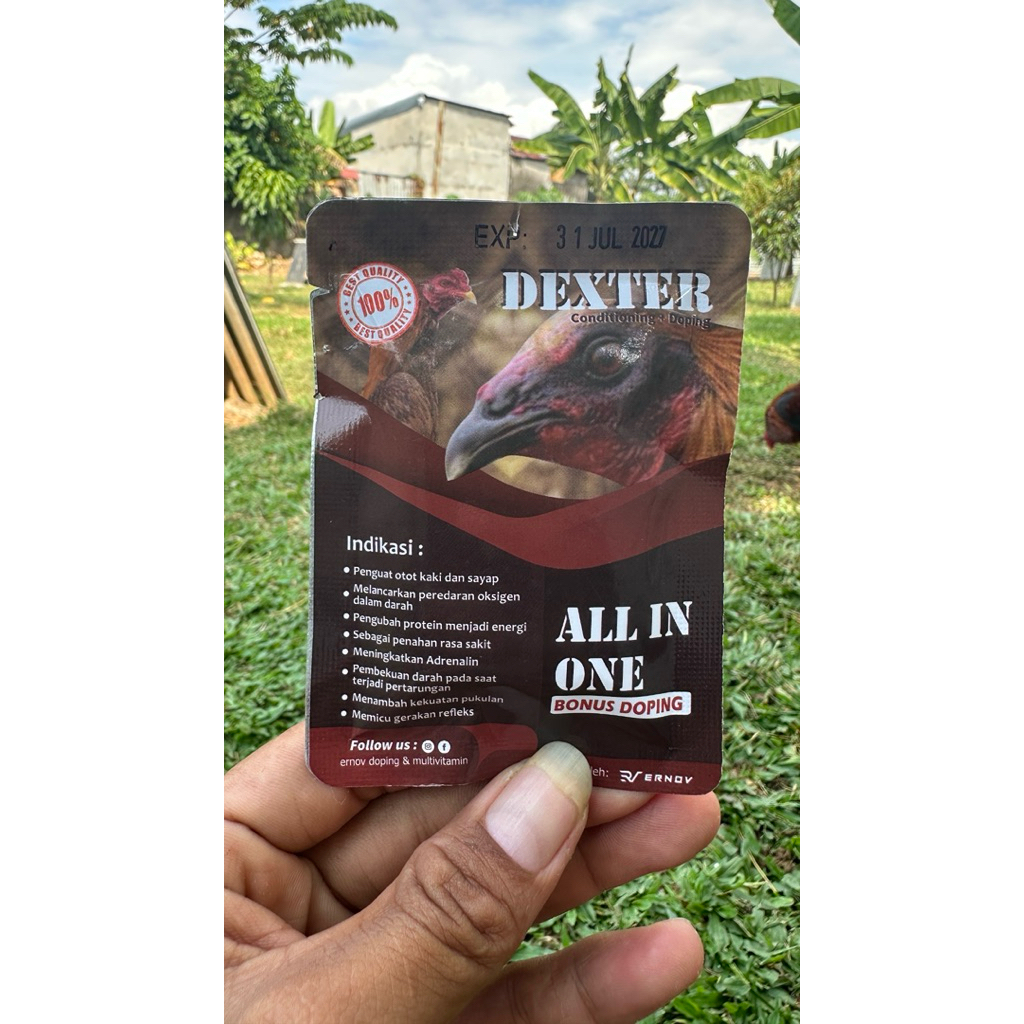 Dexter Persiapan ayam sebelum Tanding +Doping