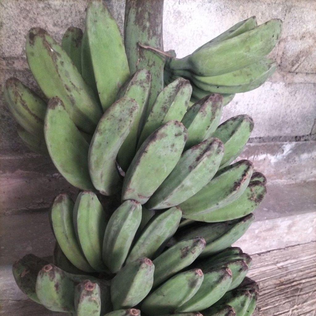 

pisang kepok pipit