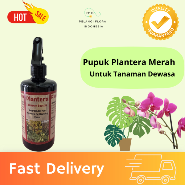 Pupuk Pembungaan Tanaman Anggrek dan Tanaman Hias Plantera Merah Blossom Booster