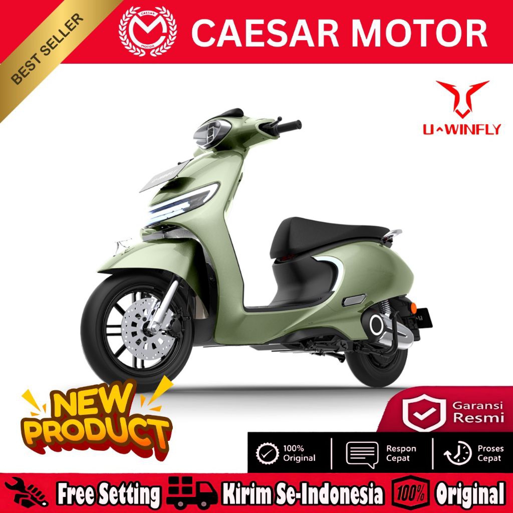 MOTOR LISTRIK UWINFLY T85