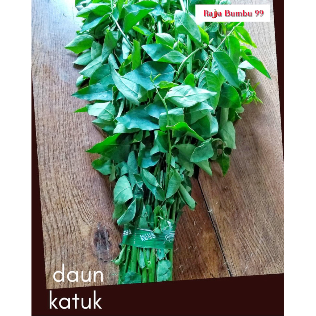 

DAUN KATUK 1 ikat