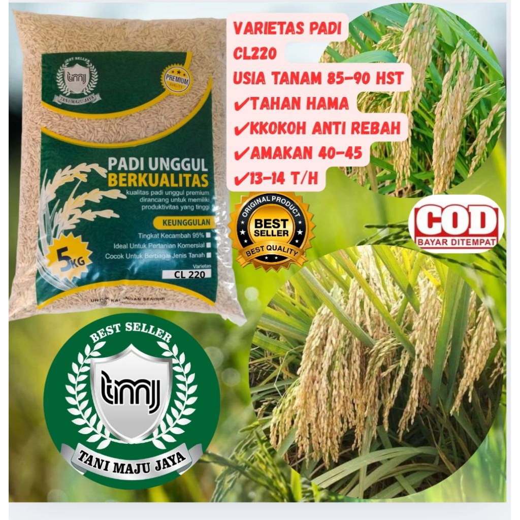 BIBIT PADI BENIH PADII UNGGUL VARIETAS CL 220 KEMASAN 5 KG