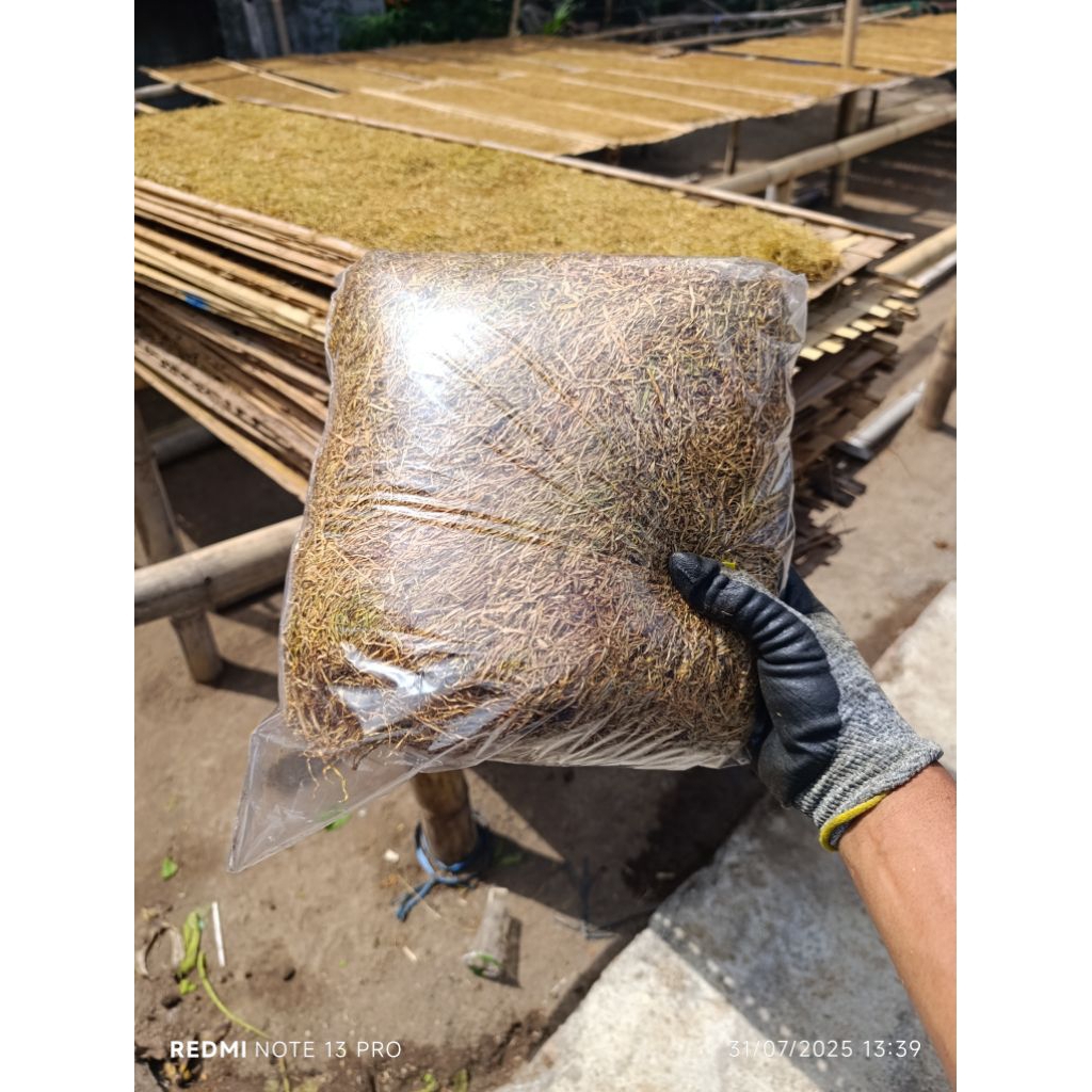 

manisan kasturi 1 tumpi