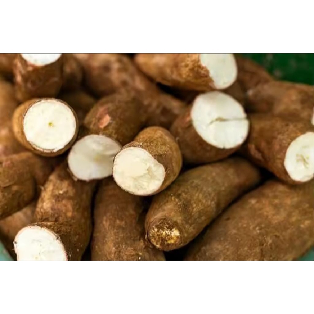 

umbi Singkong/500gram