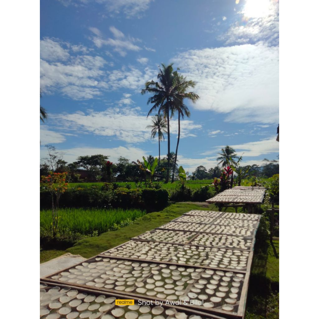 

PINGKONG/EMPING SINGKONG