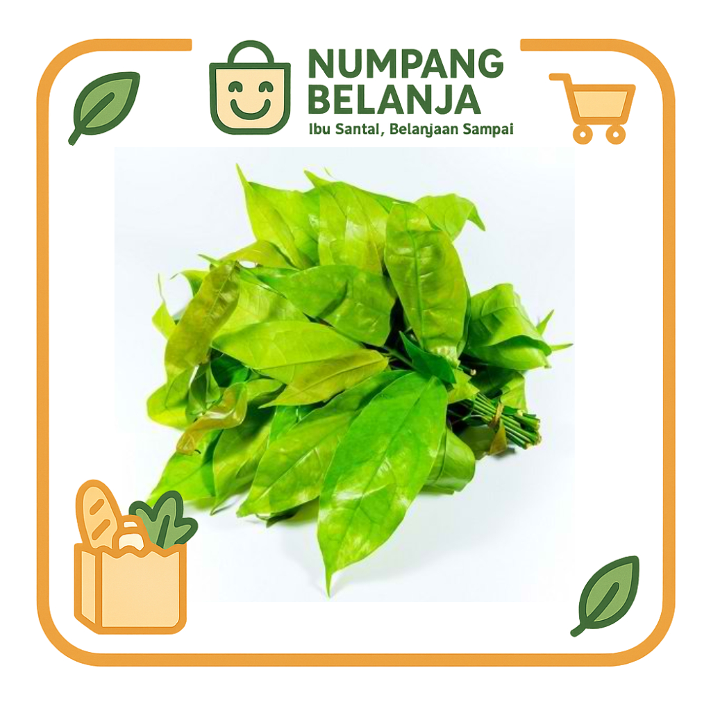 

daun melinjo sayur fresh [50g]