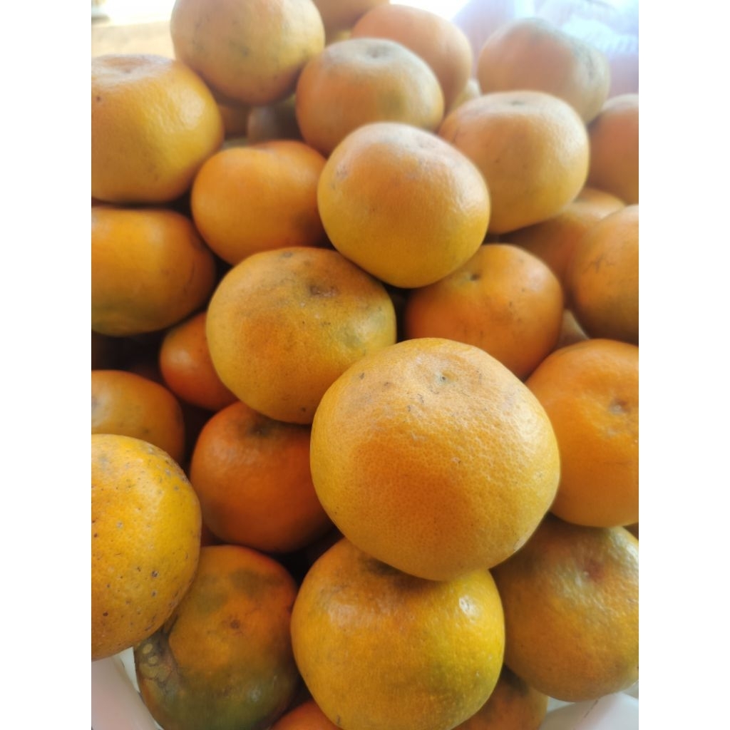 

jeruk Medan Berastagi asli