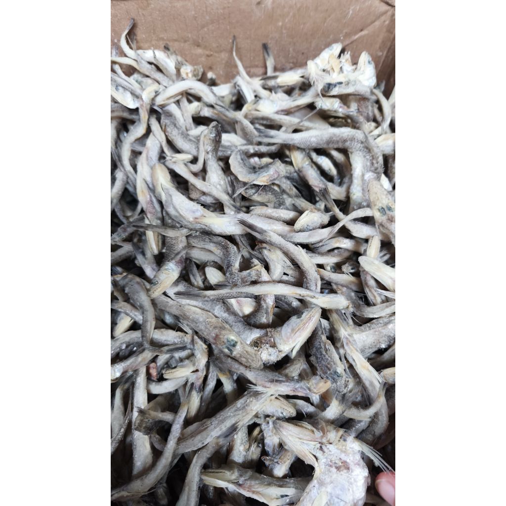 

ikan asin kacangan
