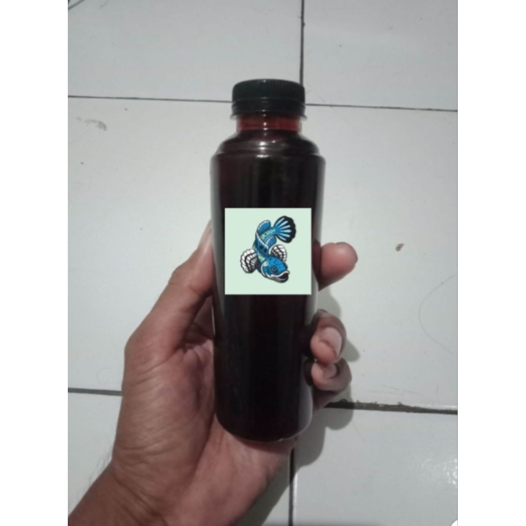 extra ketapang full pekat 3pcs