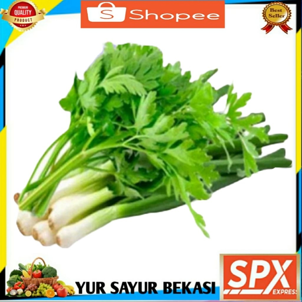 

Daun Bawang Seledri Per Ikat.