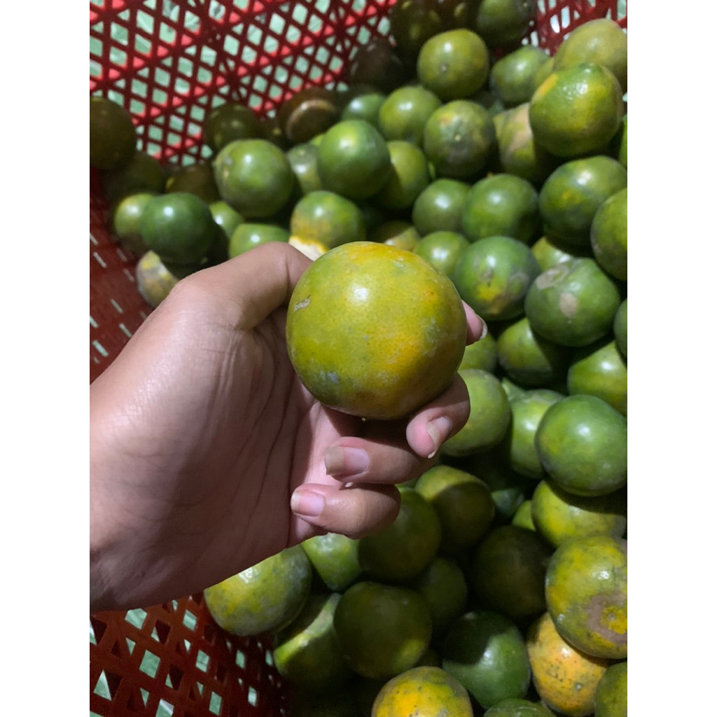 

Jeruk siam madu manis /kg