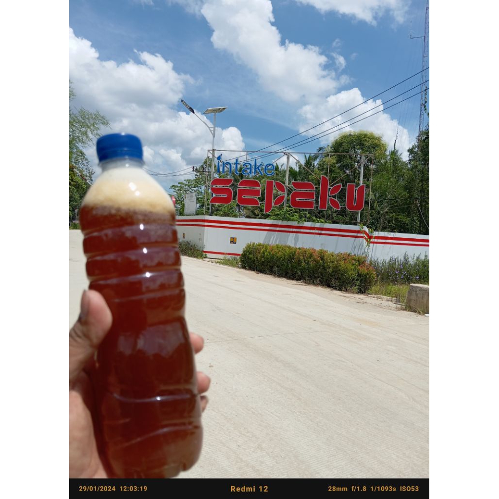 

1 botol madu hutan liar (bukan ternakan)