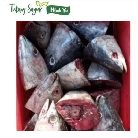 

Kepala tongkol segar isi 3 pcs