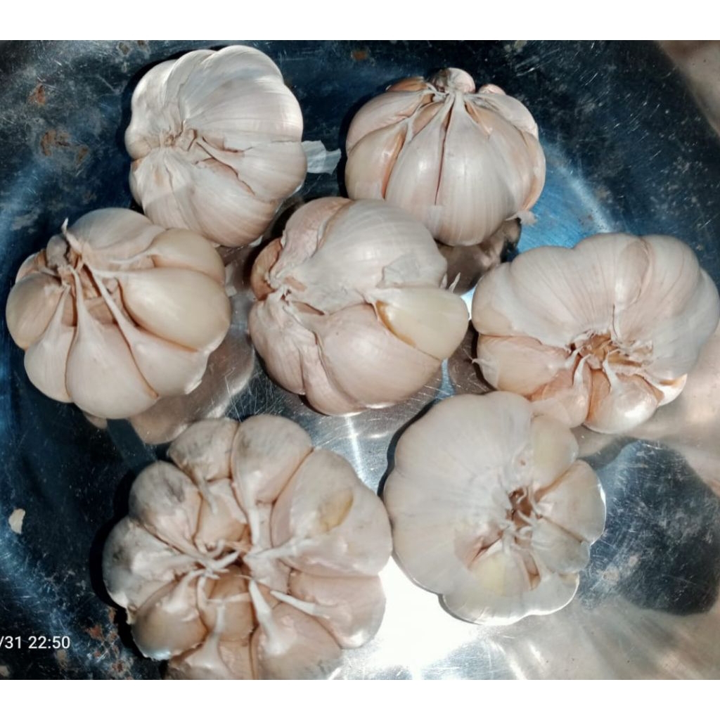 

Bawang putih bersih super