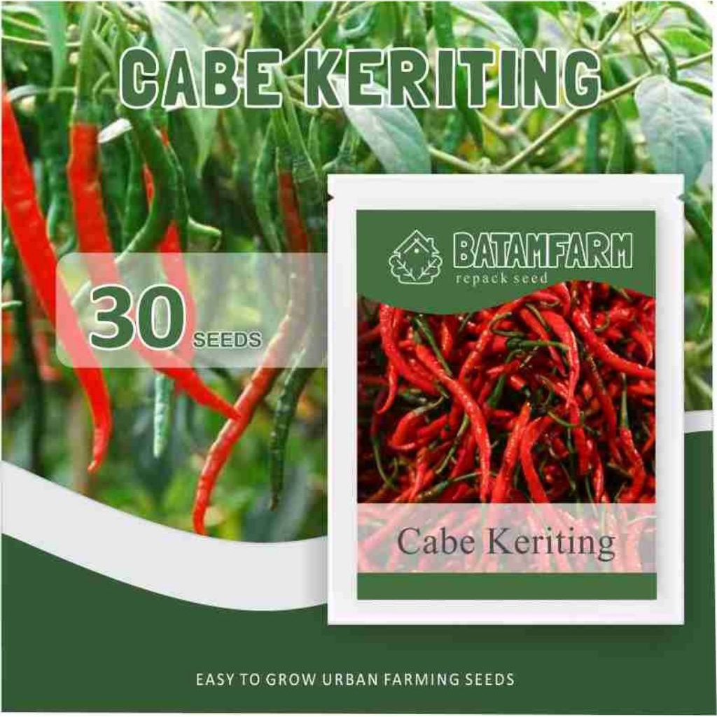Benih / Bibit Cabai Cabe Keriting F1