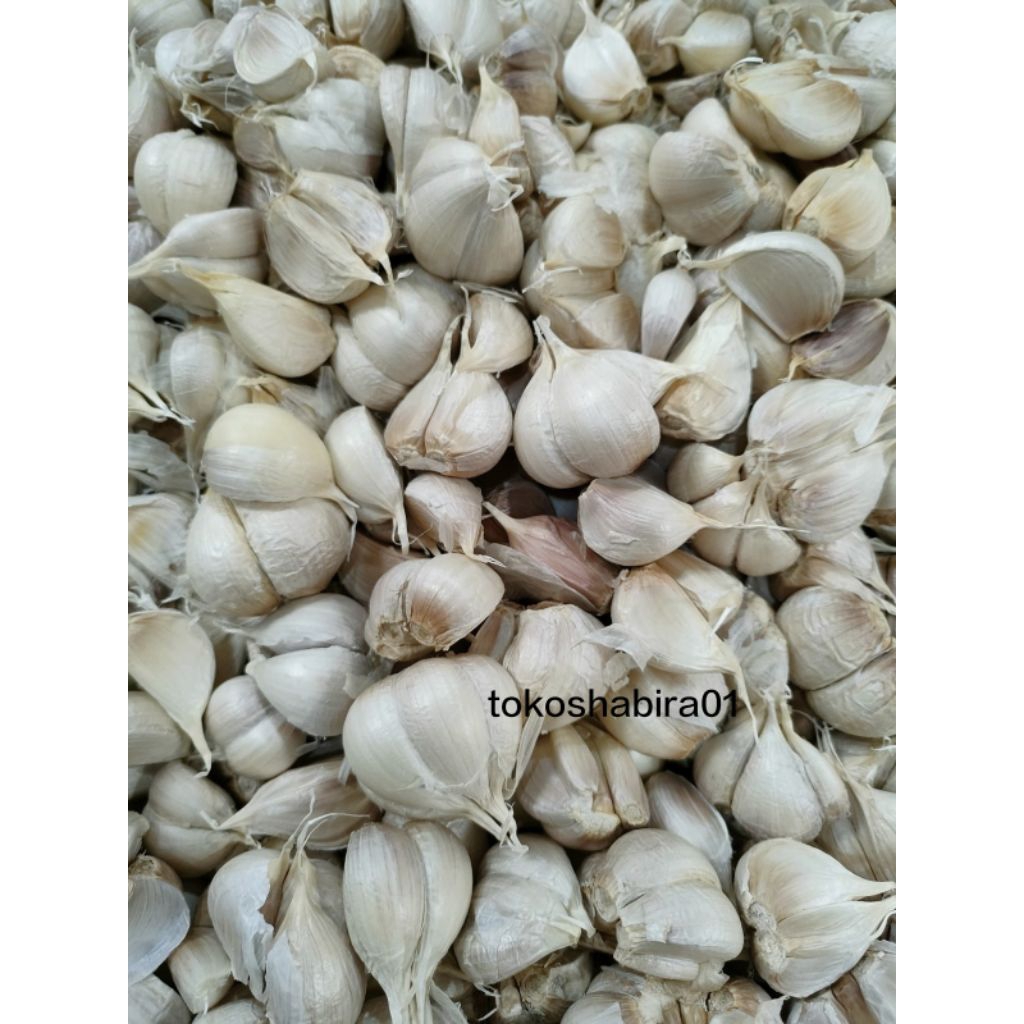 

BAWANG KATING BERSIH 1KG