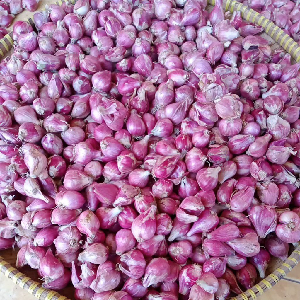 

Bawang Merah lokal Super size sedang campur Besar 1kg