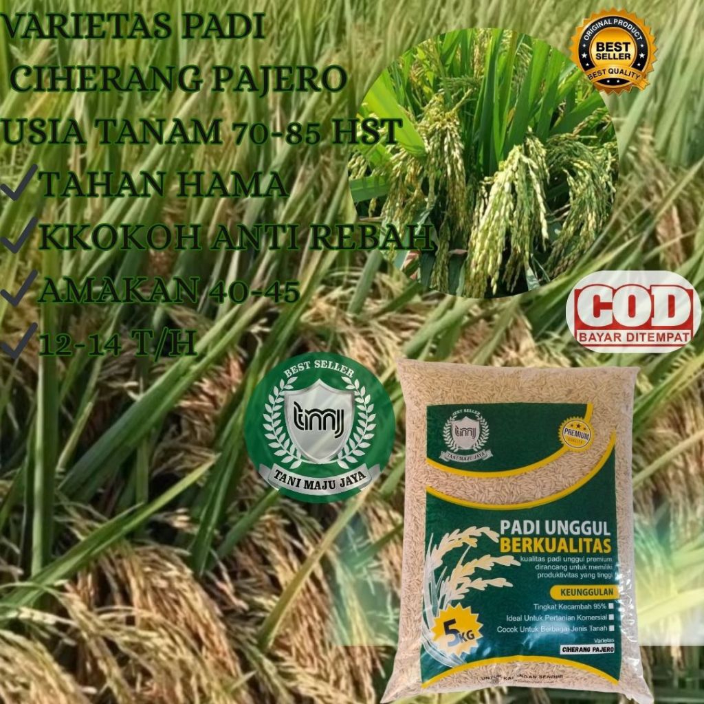 BIBIT PADI BENIH PADI UNGGUL VARIETAS CIHERANG PAJERO KEMASAN 5 KG