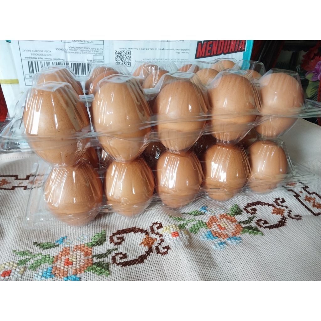 

Telur Ayam Negeri Omega 3 (isi 15 butir)