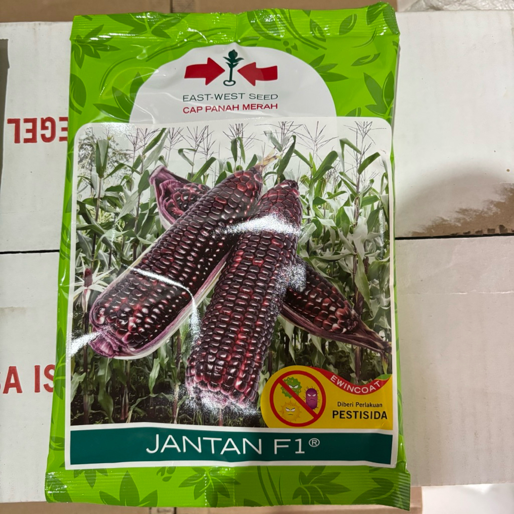 Benih Jagung Manis Ungu Jagung JANTAN F1 250 Gram Benih Jagung Merah JANTAN Hibrida Panah Merah / Bi