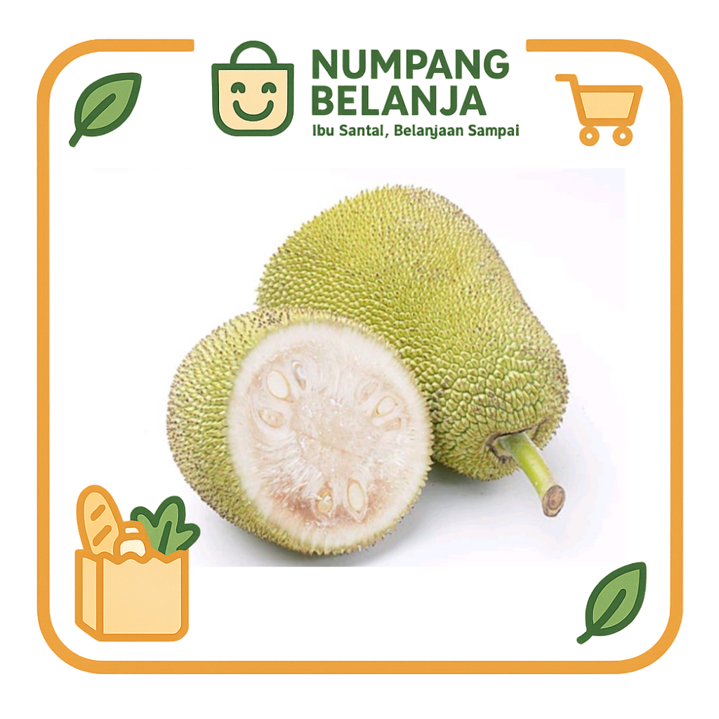 

nangka muda sayur [500g]