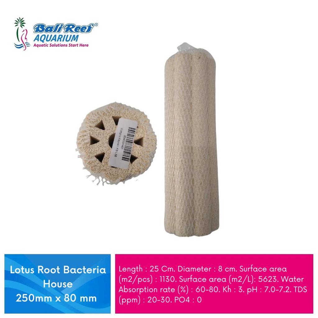 Lotus Root Bacteria House 250mm x 80 mm Media Filter Kolam Ikan Media Filter Biologis Aquarium