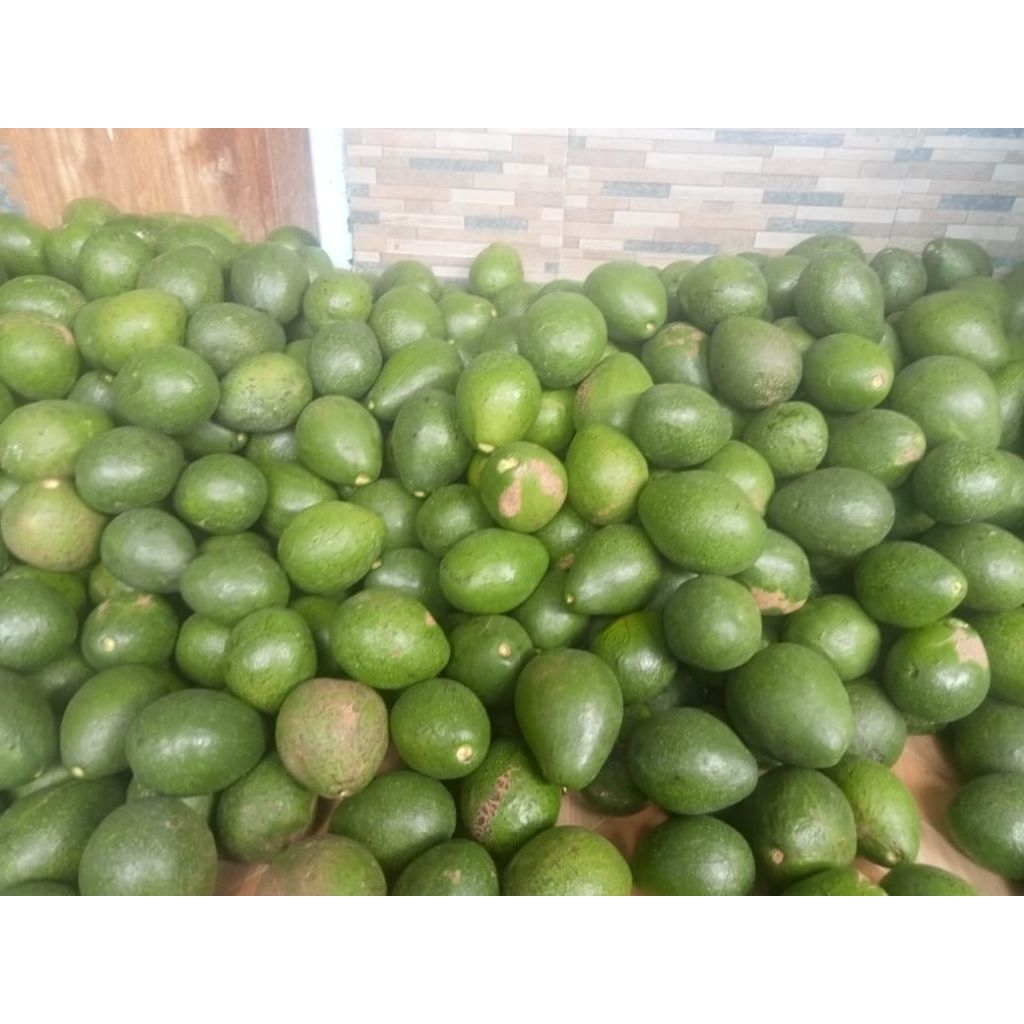 

alpukat mentega isi 4/5/6