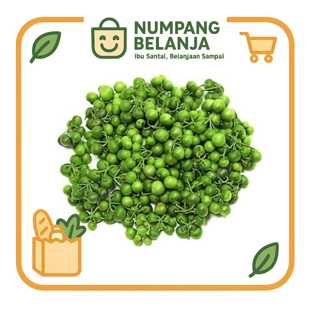 

leunca sayur [100g]