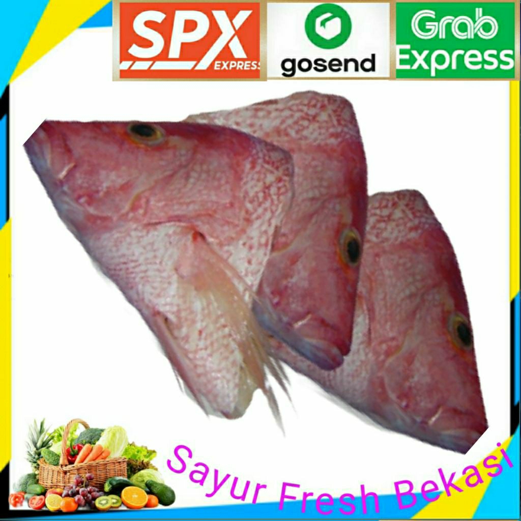 

Kepala Kakap Merah 1 Ekor.