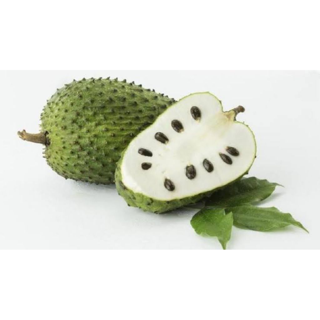 

Buah Sirsak 1 kg fresh (Buah Segar)