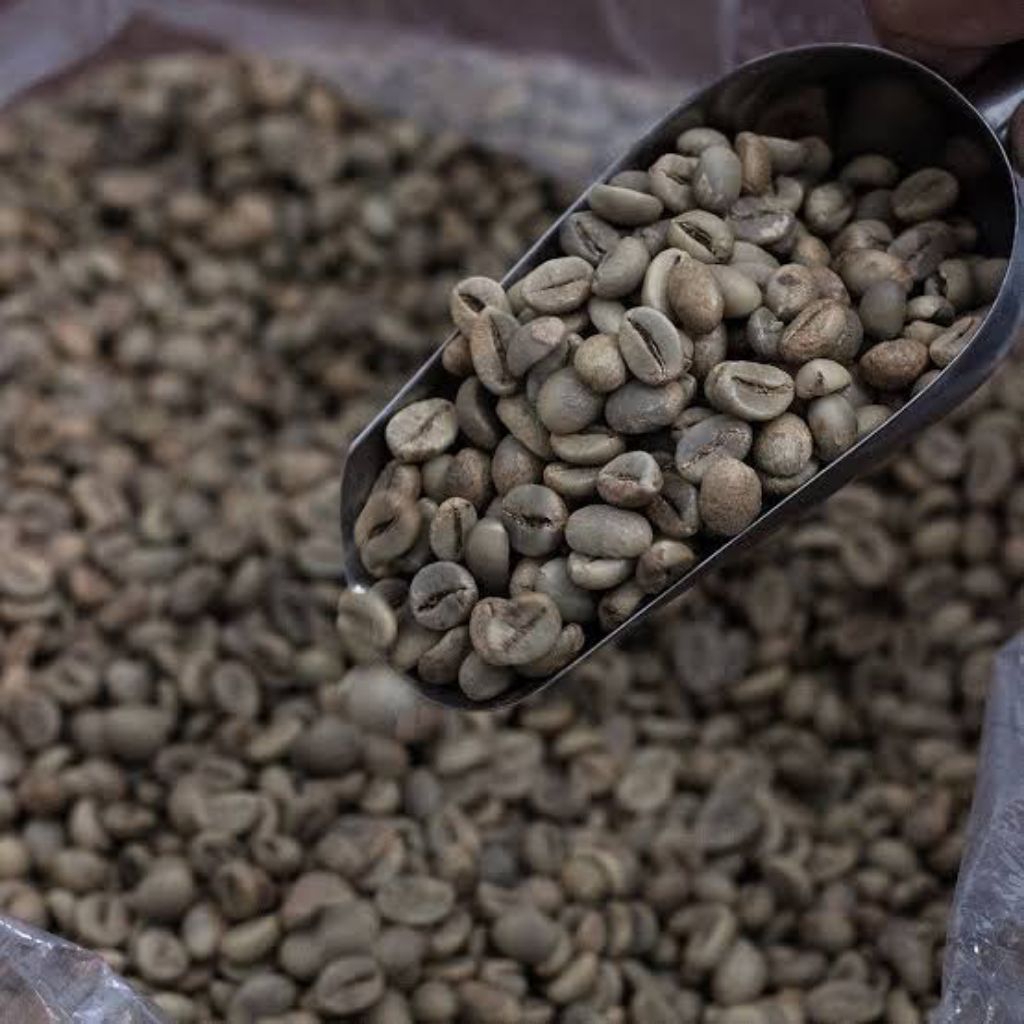 

biji kopi 1 kg robusta coffe