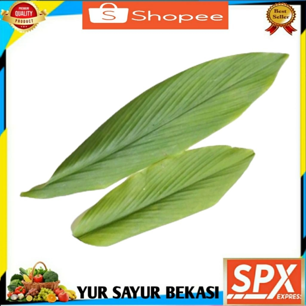 

Daun Kunyit 7 Lembar.