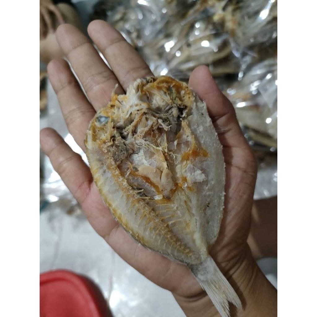 

IKAN KATAMBA KERING