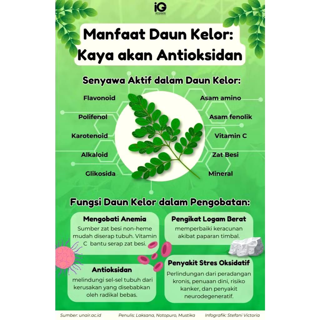 

DAUN KELOR KERING HERBAL ALAMI 200gr