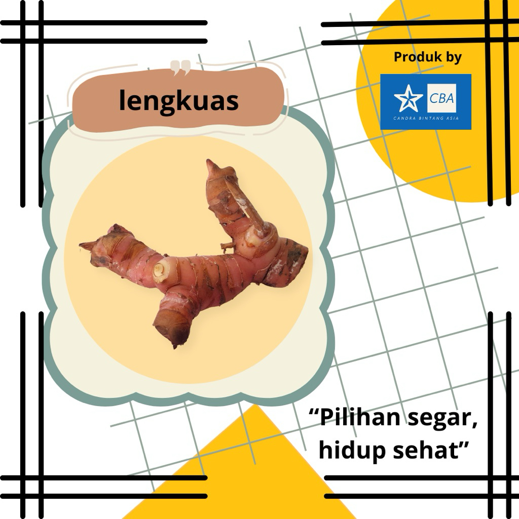

Lengkuas Segar 250gr/500gr/1kg – Rempah Masakan Harian Fresh Siap Kirim!