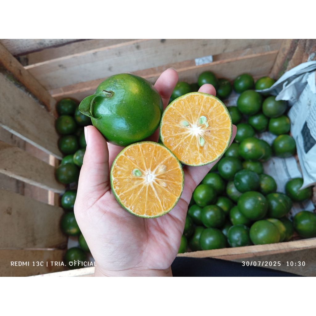 

(PREMIUM) Jeruk Peras asli 1 kg