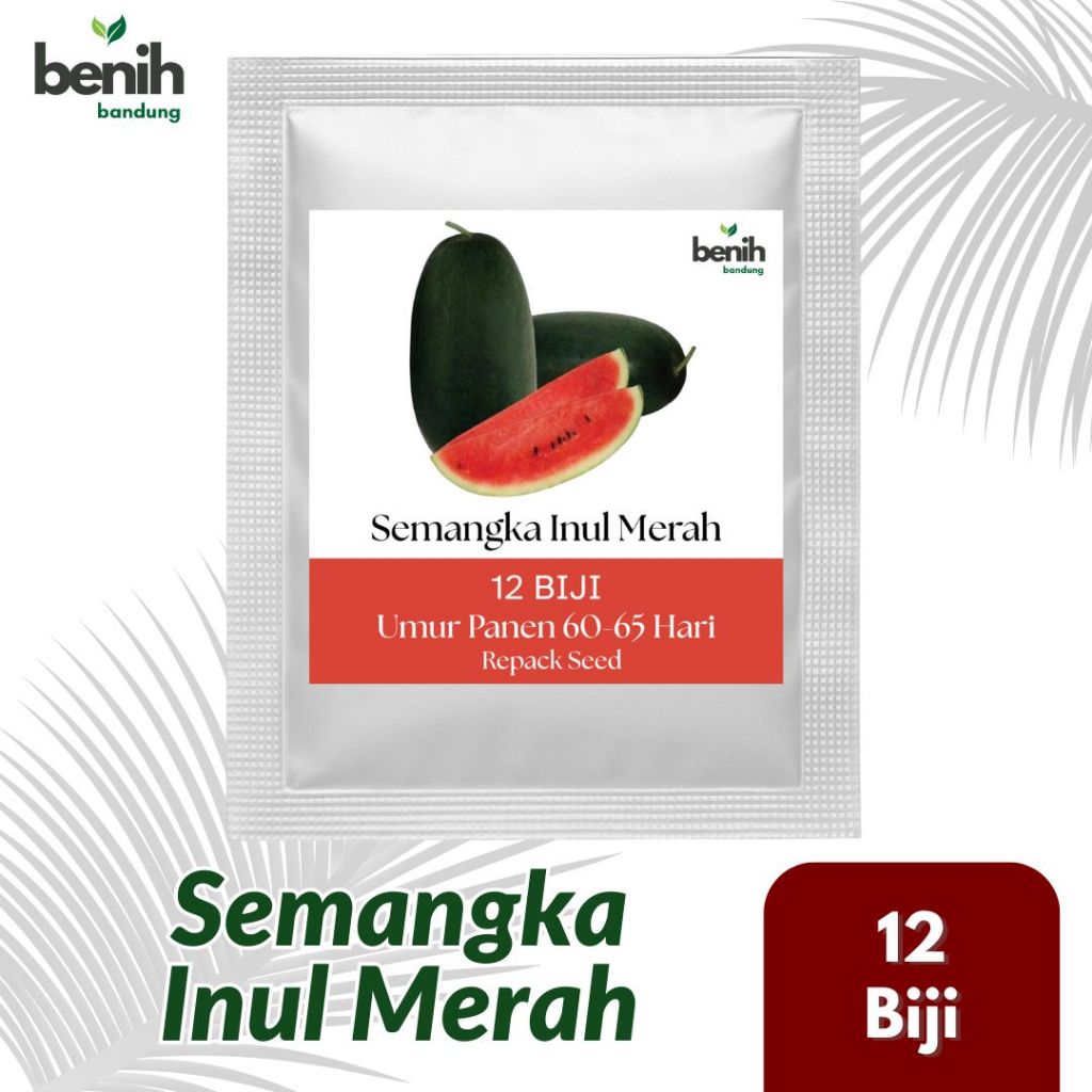12 Biji - Benih Semangka Inul Merah Bibit Unggul Buah Manis