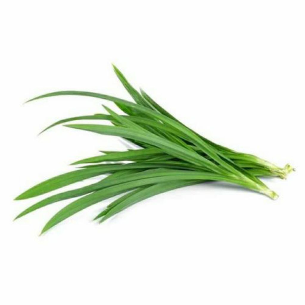 

Daun Pandan Fresh 1 ikat (Sayuran Segar)