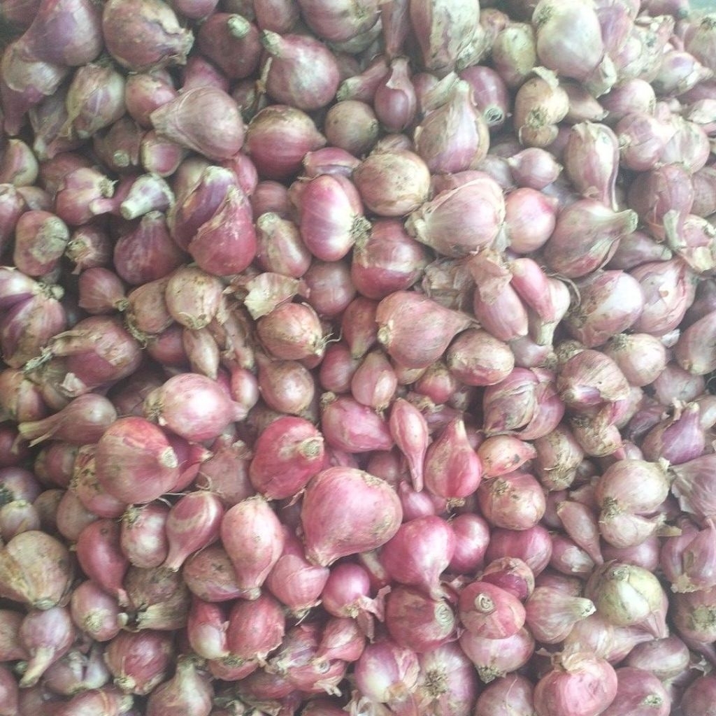 

bawang merah lokal 1kilo fresh