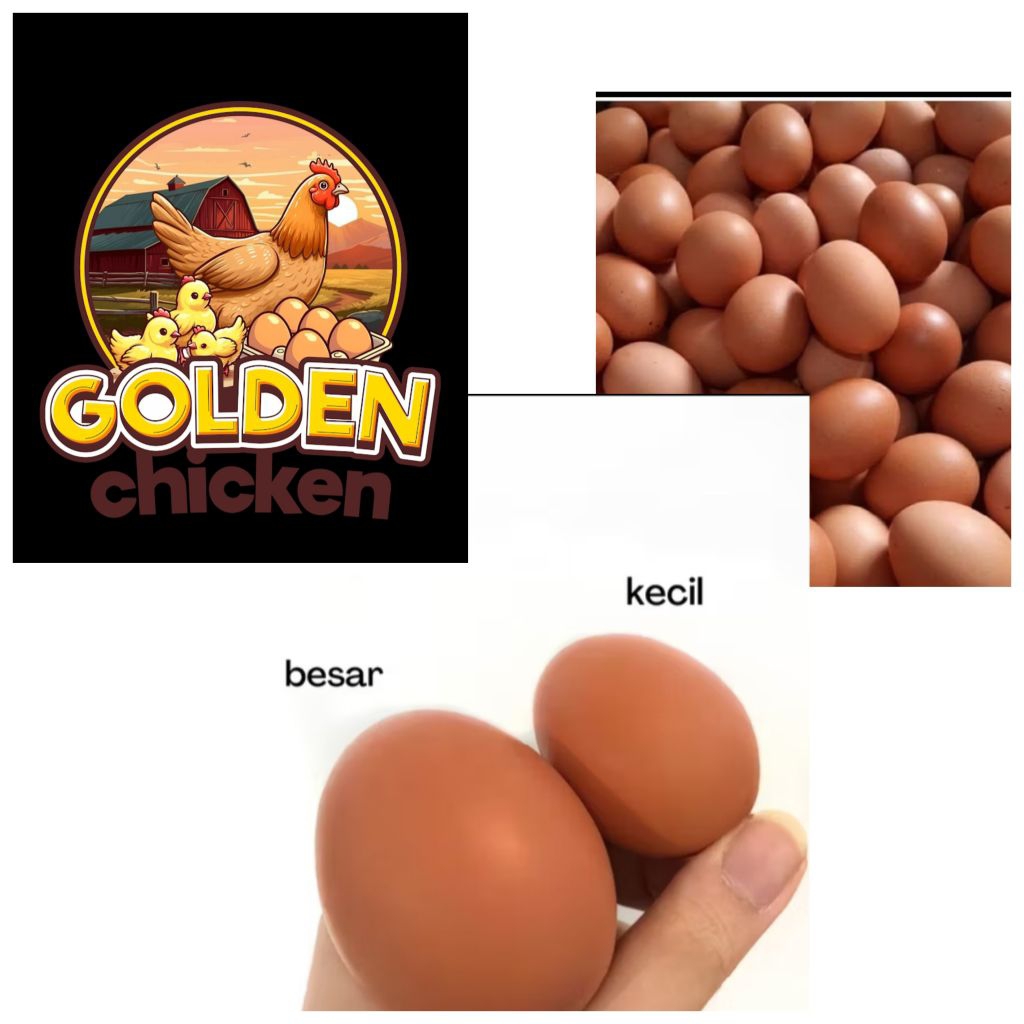 

Telur ayam negeri (1kg isi 15-16 butir) kulit telur coklat,kwalitas dan harga terbaik